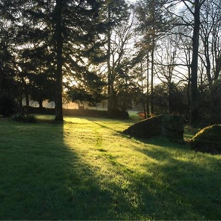 Merveilleux Cottage Dans Parc De 7,5 Hectares Saint-Nicolas-du-Pelem ภายนอก รูปภาพ